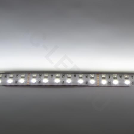 Светодиодная лента Standart PRO class, 5050, 144 led/m, RGBW, 24V, IP20 