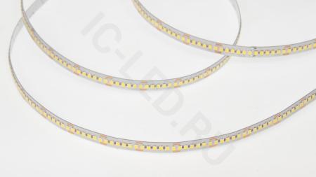 Светодиодная лента Class Premium, 2835, 240 led/m, однорядная, white, 24V, 24W/m, IP20, A75