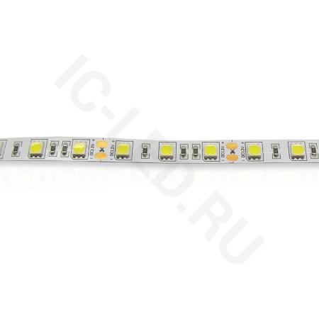 Светодиодная лента LUX class , 5050, 60 led/m, Day White,12V, IP20 