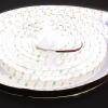 Светодиодная лента Standart PRO class, 5050, 120 led/m, Day White, 24V, IP65 