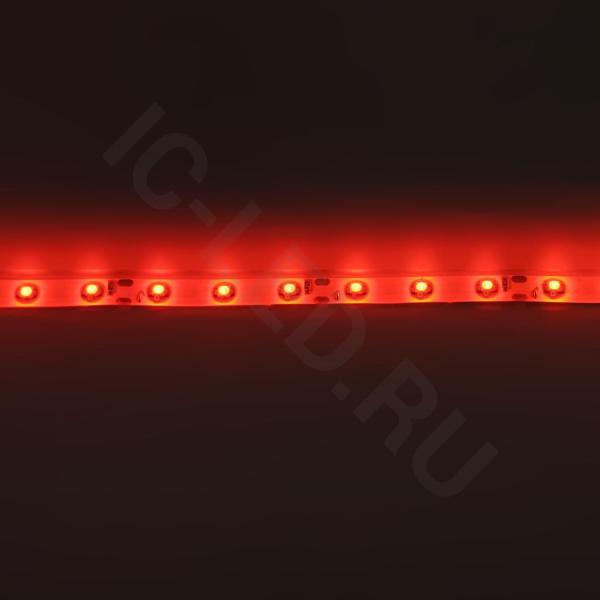 Светодиодная лента Standart class, 3528, 60led/m, Red, 12V, IP65 