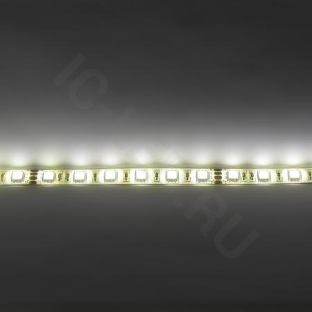 Светодиодная лента Standart PRO class, 5050, 60led/m, Warm White, 24V, IP65 