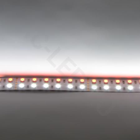 Светодиодная лента Standart PRO class, 5050, 144 led/m, RGBW, 24V, IP20 