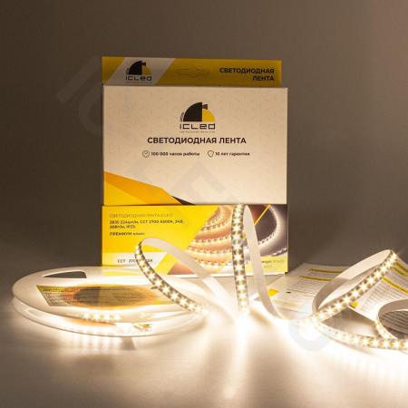 Светодиодная лента Class Premium, 2835, 224 led/m, CCT (white/warm white), 24V, IP33, RN21