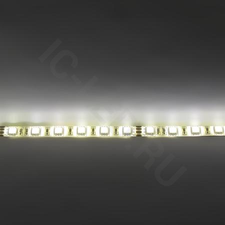 Светодиодная лента Standart PRO class, 5050, 60led/m, Warm White, 24V, IP65 