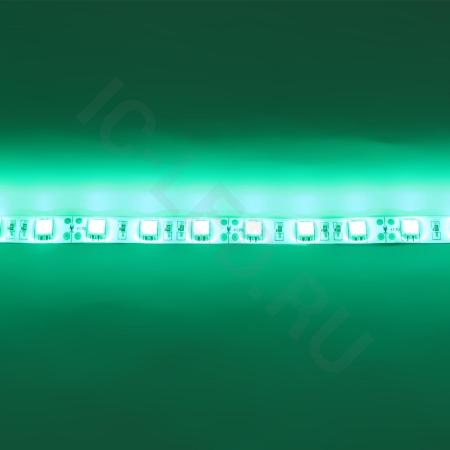 Светодиодная лента Standart PRO class, 5050, 60led/m, Green, 12V, IP65 