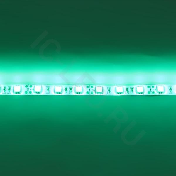 Светодиодная лента Standart PRO class, 5050, 60led/m, Green, 12V, IP65 