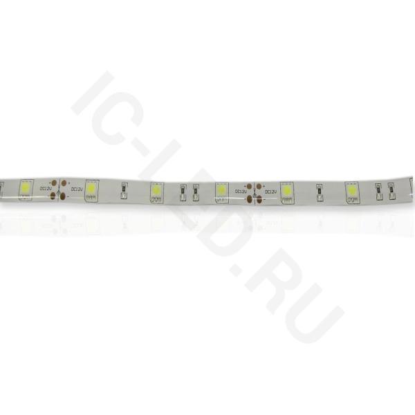 Светодиодная лента Standart PRO class, 5050, 30 led/m, White, 12V, IP65 
