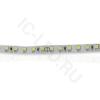Светодиодная лента Standart class 3528, 120 led/m, White, 24V, IP20, G193 