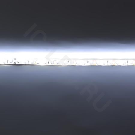 Светодиодная лента Standart PRO class, 3528,120 led/m, white,12V, D38, nano IP65 