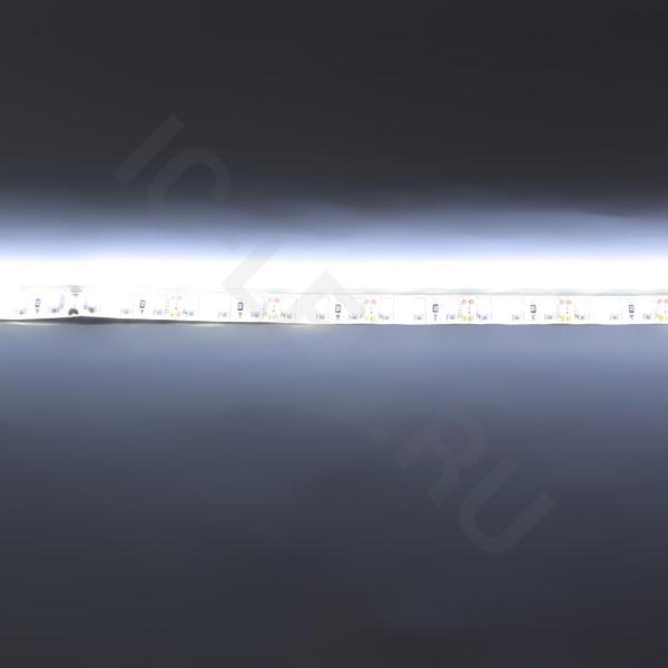 Светодиодная лента Standart PRO class, 3528,120 led/m, white,12V, D38, nano IP65 