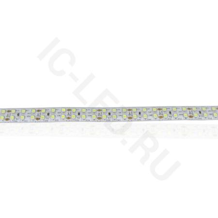 Светодиодная лента LUX class, 3528, 240 led/m, white, 24V, nano IP54 V241 