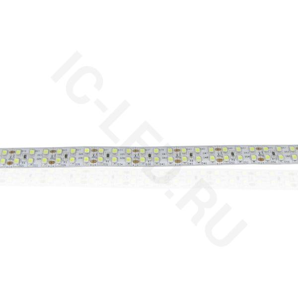 Светодиодная лента LUX class, 3528, 240 led/m, white, 24V, nano IP54 V241 
