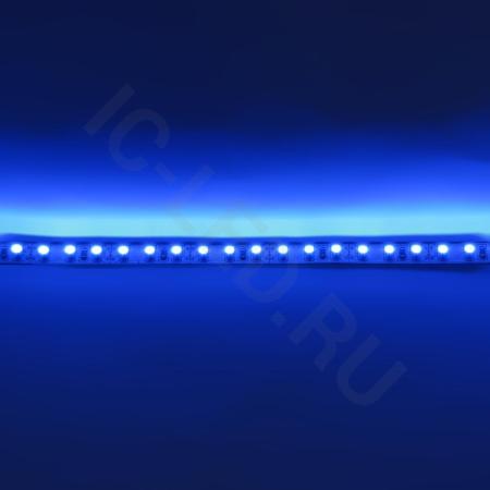 Светодиодная лента Standart PRO class, 3528, 120 led/m, Blue, 12V, IP20 