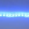 Светодиодная лента Standart PRO class, 5050, 60led/m, Blue, 12V, IP68 