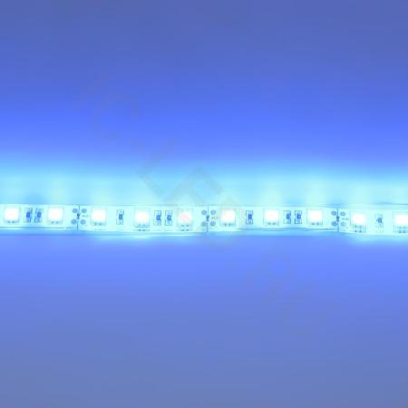 Светодиодная лента Standart PRO class, 5050, 60led/m, Blue, 12V, IP68 