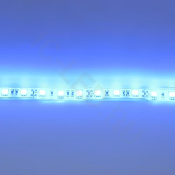 Светодиодная лента Standart PRO class, 5050, 60led/m, Blue, 12V, IP68 