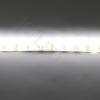 Светодиодная лента Standart PRO class, 5050, 60led/m, Warm White, 12V, IP65 