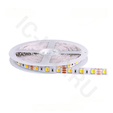 Светодиодная лента Class Premium 3838 60 led/m, CCT (white/ warm white), 12V, IP33, А45