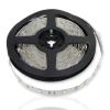 Светодиодная лента Standart PRO class, 5050, 30 led/m, RGB, 12V, IP20