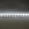 Светодиодная лента  Standart PRO class, 5050, 60led/m, White, 24V, IP20 