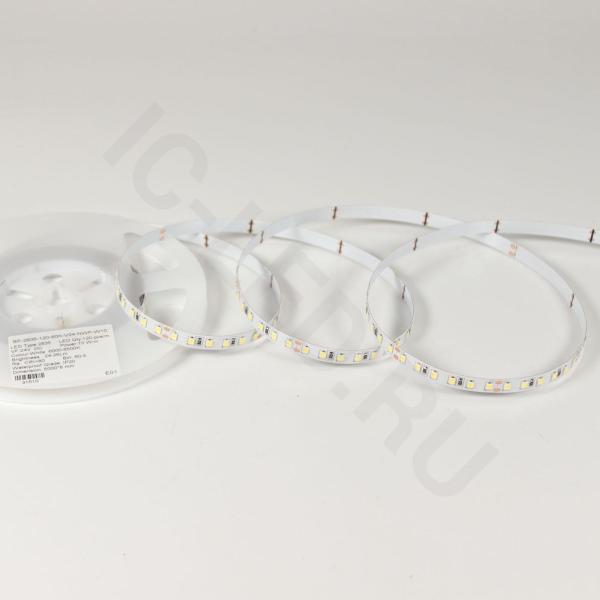 Светодиодная лента Standart Pro class, 2835, 120 led/m, 8mm, без скотча, white, 24V, IP20, SL14 Светодиодная лента Standart Pro class, 2835, 120 led/m, 8mm, без скотча, white, 24V, IP20, SL14