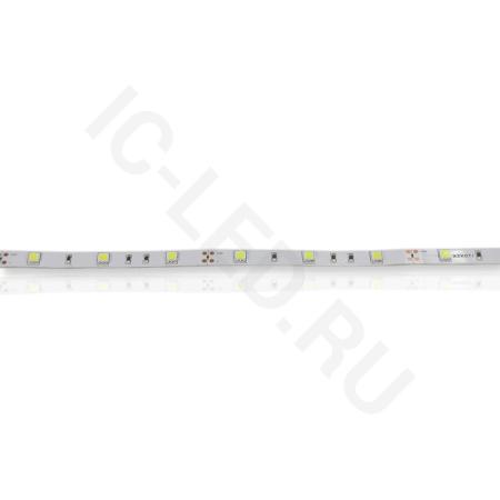 Светодиодная лента Standart PRO class, 5050, 30 led/m, White, 12V, IP20 