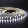 Светодиодная лента Class Premium 5050 60led/m, RGB+CCT (RGB+white/ warm white), 24V, IP20, A42