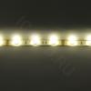 Светодиодная лента Standart class, 5050, 30led/m, Warm White, 12V, IP65 