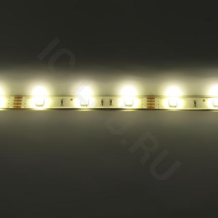 Светодиодная лента Standart class, 5050, 30led/m, Warm White, 12V, IP65 