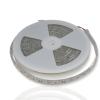 Светодиодная лента Standart PRO class, 5050, 60led/m, Blue, 12V, IP68