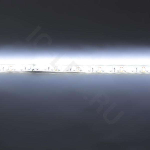 Светодиодная лента Standart PRO class, 3528,120 led/m, white,12V, D38, nano IP65 