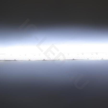 Светодиодная лента Standart PRO class, 3528, 240 led/m, White, 24V, IP65 