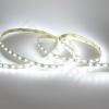 Светодиодная лента Standart class, 5050, 60led/m, white, 24V, IP20, G35 