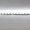 Светодиодная лента LUX сlass , 5050, 60 led/m, white,12V, C70, IP20 