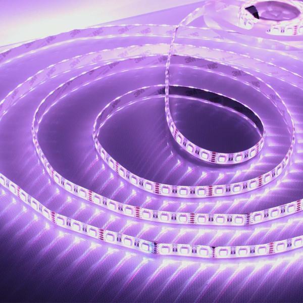 Светодиодная лента LUX class, 5050 (4 chips), 60 led/m, RGBDW, 12V, IP65, P204 Светодиодная лента LUX class, 5050 (4 chips), 60 led/m, RGBDW, 12V, IP65, P204