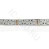 Светодиодная лента Standart PRO class, 5050, 120 led/m, RGB, 24V, IP20 