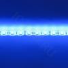 Светодиодная лента Standart class, 5050, 60led/m, Blue, 12V, IP65 