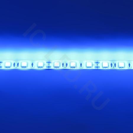 Светодиодная лента Standart class, 5050, 60led/m, Blue, 12V, IP65 
