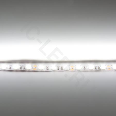 Светодиодная лента LUX class , 5050, 60 led/m, Day White,12V, IP20 