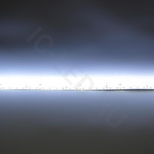 Светодиодная лента Standart PRO class, 3528, 120 led/m, White, 24V, nano IP54  Светодиодная лента Standart PRO class, 3528, 120 led/m, White, 24V, nano IP54