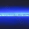 Светодиодная лента Standart class, 3528, 120led/m, Blue, 12V, IP65 