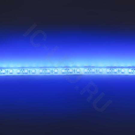 Светодиодная лента Standart class, 3528, 120led/m, Blue, 12V, IP65 