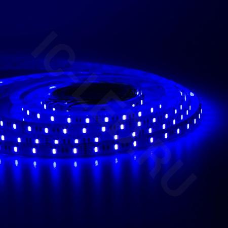Светодиодная лента Class Premium 5050 60led/m, RGB+CCT (RGB+white/ warm white), 24V, IP20, A42