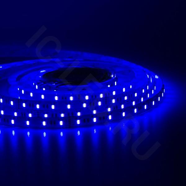 Светодиодная лента Class Premium 5050 60led/m, RGB+CCT (RGB+white/ warm white), 24V, IP20, A42