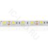 Светодиодная лента Standart class, 5050, 60led/m, Warm White, 12V, IP65 