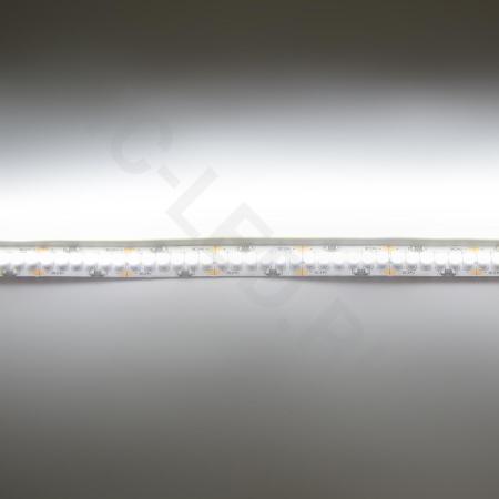 Светодиодная лента Standart PRO class , 3528, 240 led/m, White, 24V, IP20 однорядная 