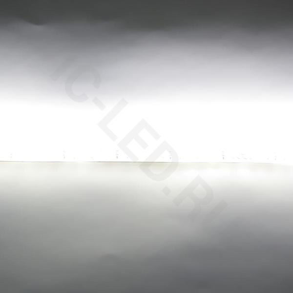 Светодиодная лента LUX class 2835 120led/m, warm white, 12V, IP65, N09  Светодиодная лента LUX class 2835 120led/m, warm white, 12V, IP65, N09