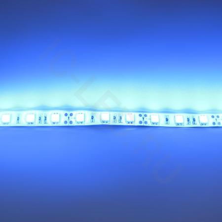 Светодиодная лента Standart PRO class, 5050, 60led/m, Blue, 12V, IP65 