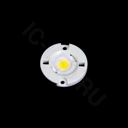 Светодиодная матрица CXA1304 C DC4 Day white